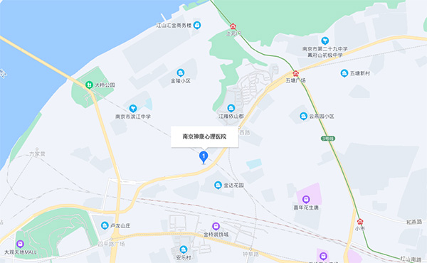 南京神康心理医院地址